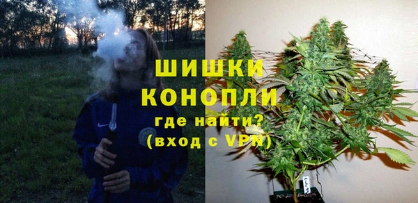сатива Баксан