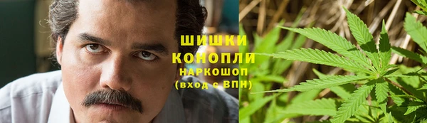 прущие грибы Балахна