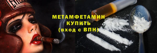 прущие грибы Балахна