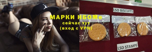 прущие грибы Балахна