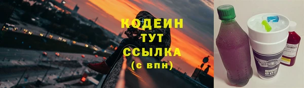 прущие грибы Балахна