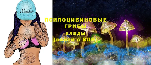 сатива Баксан