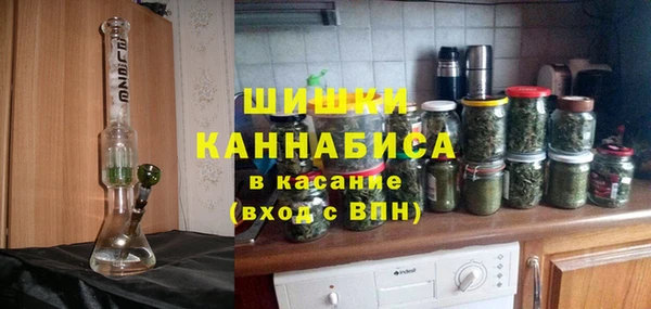 прущие грибы Балахна