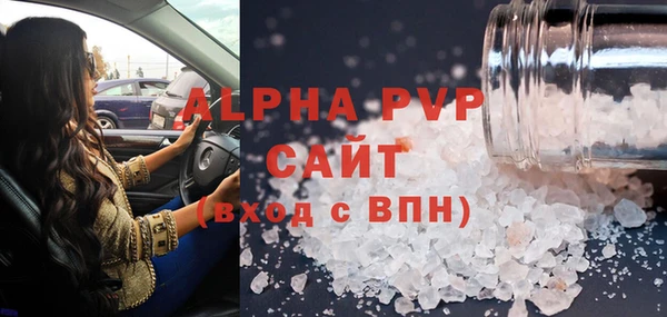 сатива Баксан
