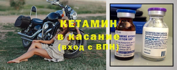 прущие грибы Балахна