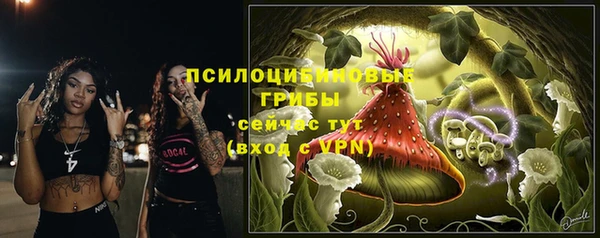 сатива Баксан