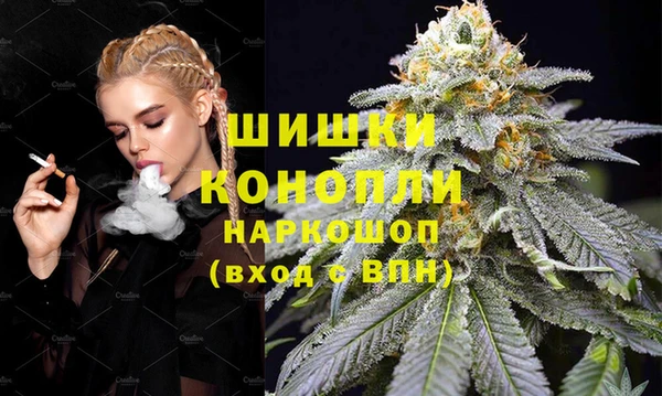 прущие грибы Балахна