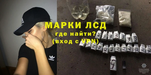 прущие грибы Балахна