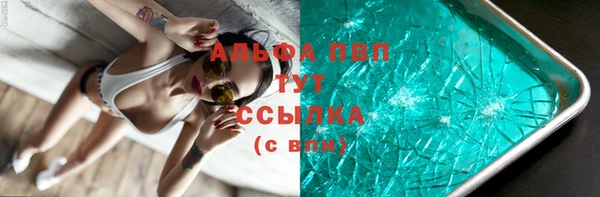 сатива Баксан