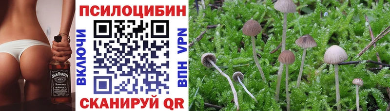 Галлюциногенные грибы мухоморы  Суворов 